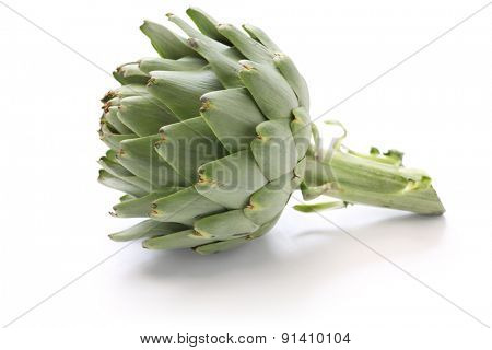 green globe artichoke isolated on white background