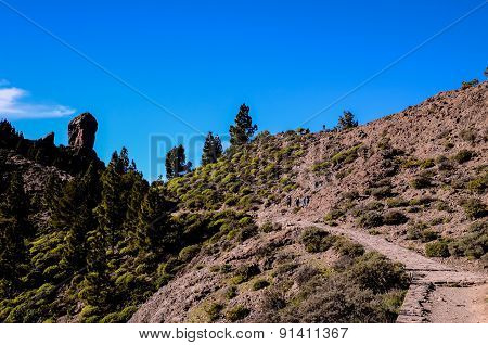 Volcanic Rock Basaltic Formation in Gran Canaria