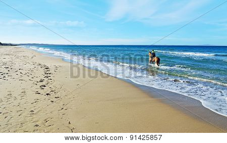 Man Riding A Horse In The Sea