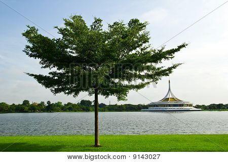 Træet i Rama 9 Park