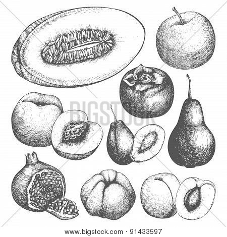 Vintage colorful fruit illustration for vegetarian food.