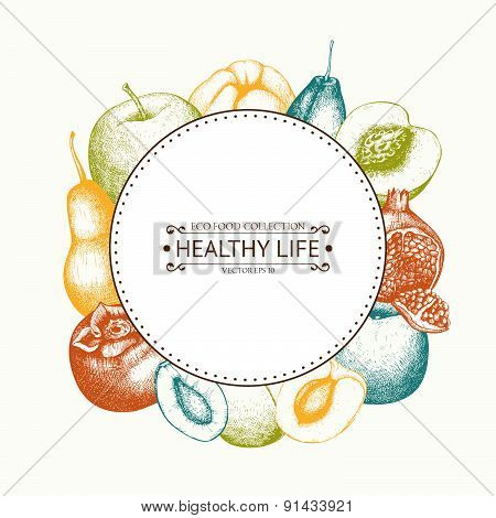 Vintage fruits illustration for eco food isolated on white