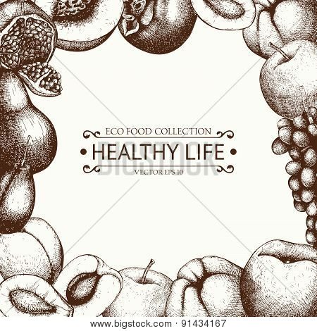Vintage fruits illustration for eco food isolated on white