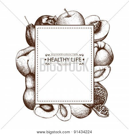 Vintage fruits illustration for eco food isolated on white