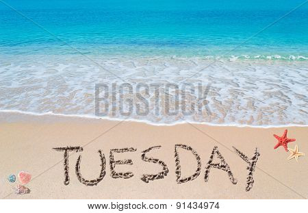 Tuesday On A Tropical Beach
