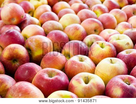Lined Up Apples