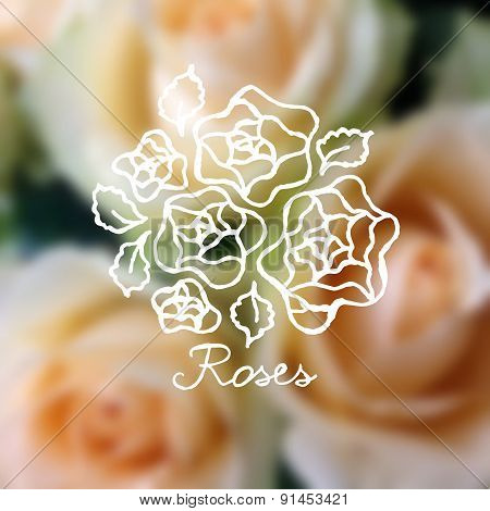 Handsketched bouquet of roses