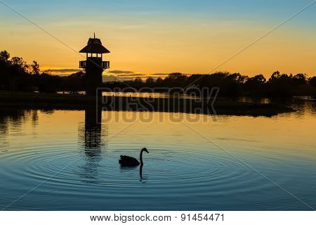 Henly Lake Dawn