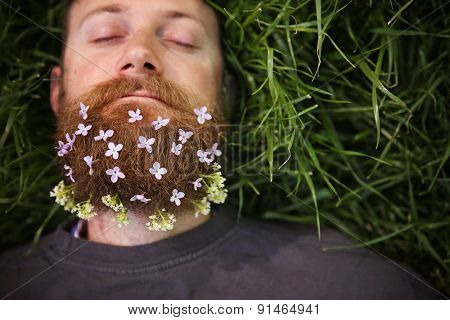 a sleeping hipster lying in tall grass with lilacs in his epic beard taking a nap toned with a retro vintage instagram filter and light leaks 