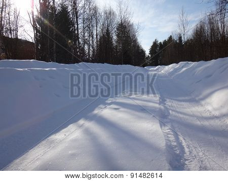 Road in the forest in winter sunny day