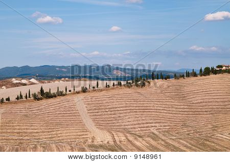 Senesi เกาะครีต