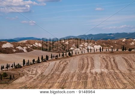 Senesi เกาะครีต