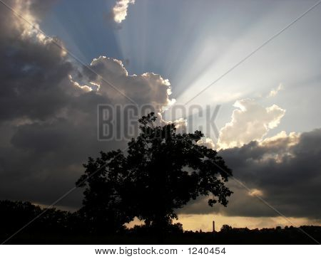 Arbre et les rayons du soleil