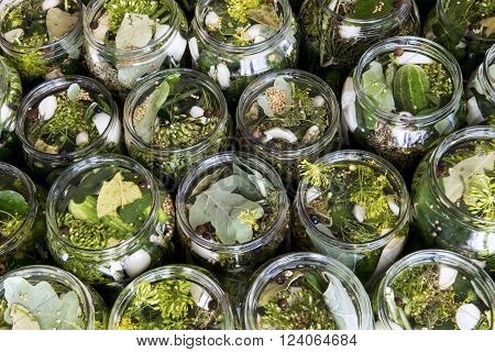 Top view of jars of freshly made pickled cucumbers with spices.