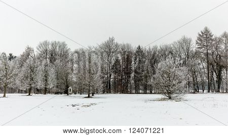 Small chapel between trees in a snowy landscape