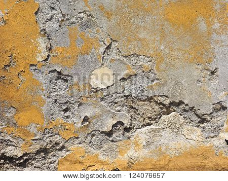 Damp Moisture