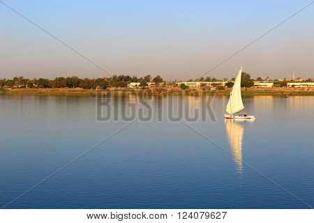 Felluca With White Sails