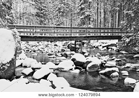 Tourist path. Wooden bridge over a small frozen river in forest