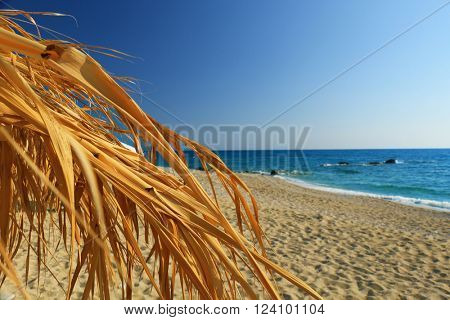 straw beach umbrella with blue sky