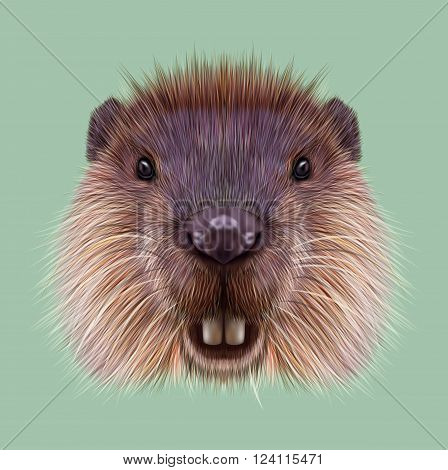 Cute face of aquatic fluffy rodent on green background.