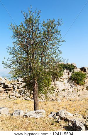 From   In Asia Turkey  Ruins And Nature