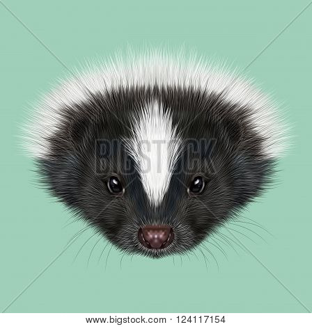 Cute face of Striped skunk on green background.