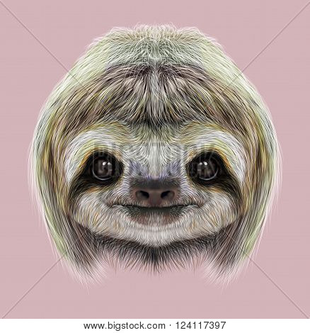 Cute face of tropical Three-toed Sloth on pink background.