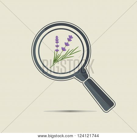 Lavender under a magnifiyng glass. Botanical research conceptual icon.