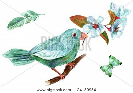 A vintage style drawing of a teal blue bird holding a branch of plum blossoms in its beak with a feather and a butterfly hand painted on white background; a set of design elements