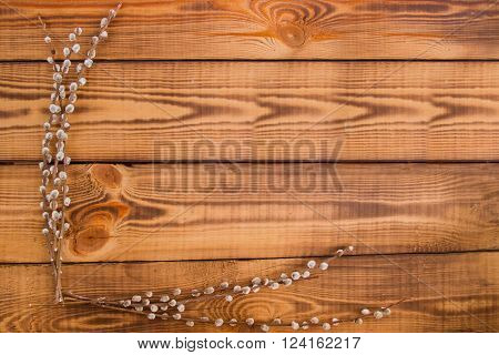 Bright Spring.Happy easter. Early spring. Spring background. Willow branches on a background of brown wooden desk. Free space