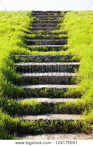 Stone Stairs In Grass