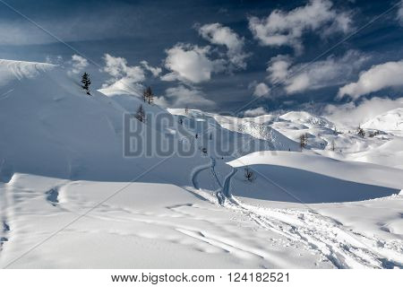 Ski tracks on a slope. Winter on Komna, Slovenia.
