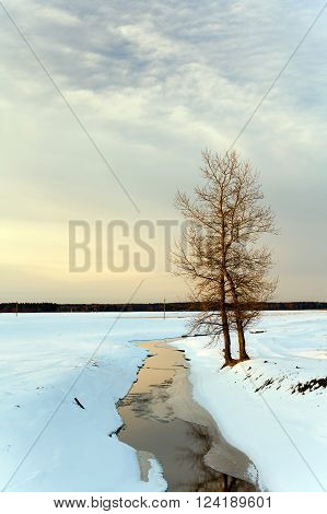 White Snow Lying On The Ground In Winter
