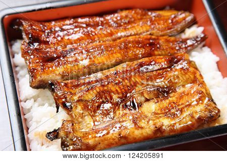 typical Japanese dish broiled eels on rice 