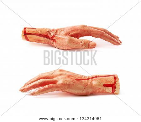 Fake rubber severed hand as a Halloween prank toy, isolated over the white background, set of two different foreshortenings