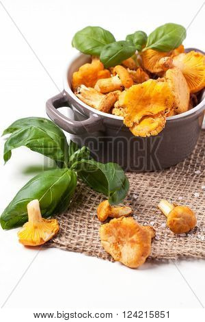 Pot Of Chanterelles