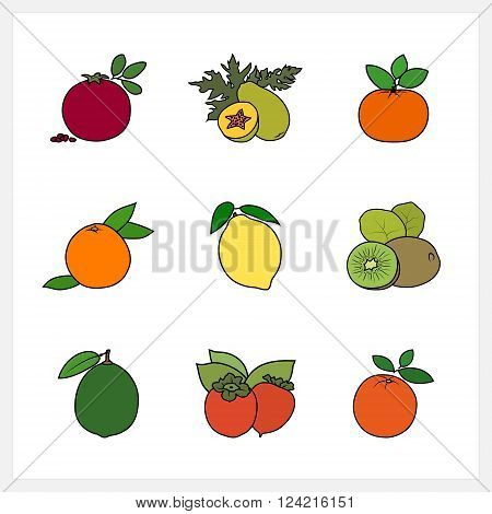 Citrus Fruit and Fruit Growing on a Trees, Flat Design , Isolated on White Background , Set of Fruit Icons , Vector Illustration