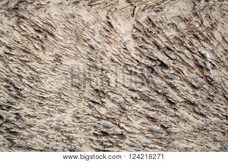 Cement texture. Painted concrete wall of the building