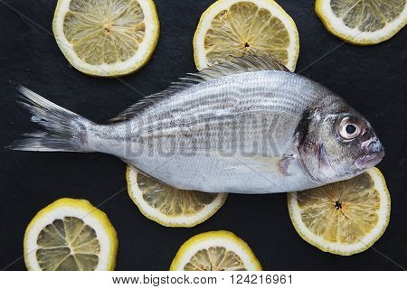 Presentation Of Fresh Sea Bream Isolated On Rounded Lemon Clices On Black Stone Surface, Top View.re