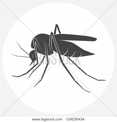 Mosquito silhouette. Insect Mosquito isolated on white background. Flat icon vector.