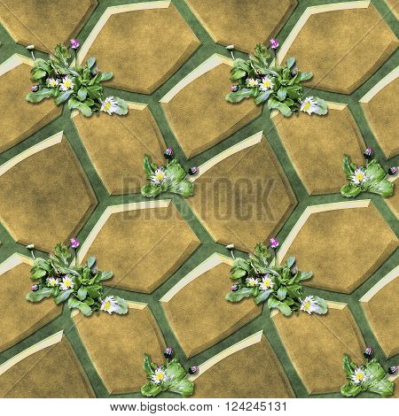 Seamless relief pavement pattern of brown polygonal stones and daisies