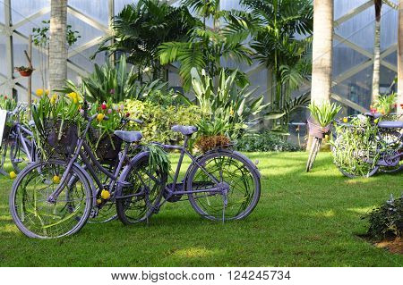 Several painted bicycles on display within the temperate greenshouse at chenshan botanical gardens shanghai china.