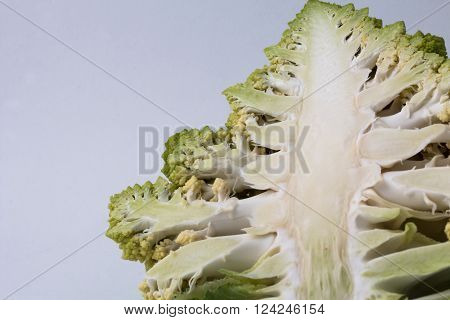 Cauliflower Romanesco Broccoli