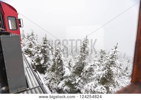 NEW HAMPSHIRE/USA - SEPTEMBER 30, 2009: First snow of season covers pine trees along Cog Railway on Mount Washington