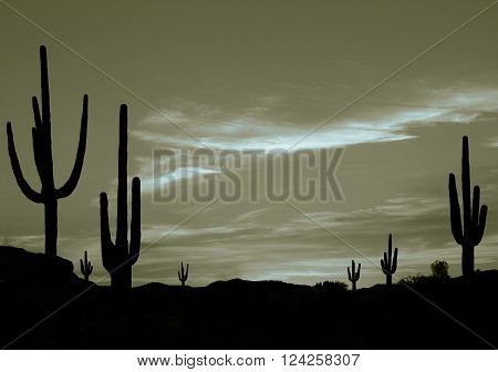 Southwest Sunset - Colorful Sunset in Wild West Desert of Arizona with Cactus