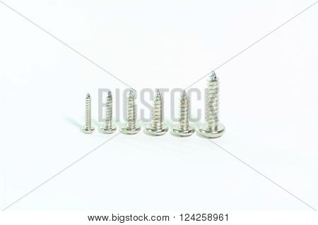 Salf tapping screw on a white background.