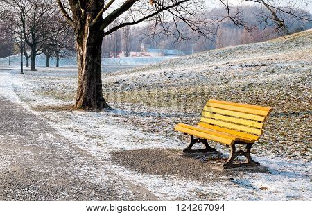 Yellow bench in winter in Komenskeho sady park in Ostrava