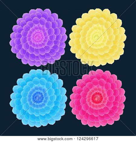 beauty dahlia flower on a dark background.vector illustration