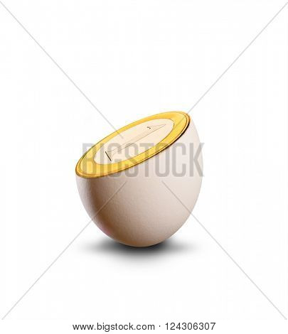 Golgen coin in the egg