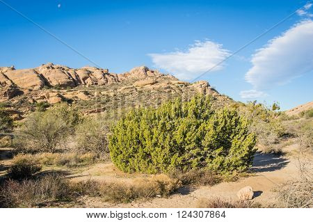 Mojave Desrt of southern California in the United States runs along the San Andreas fault.